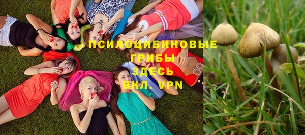 mdpv Козельск