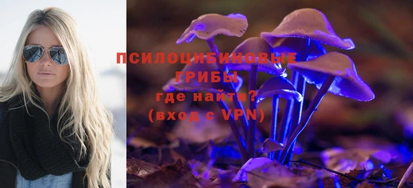 твердый Козловка