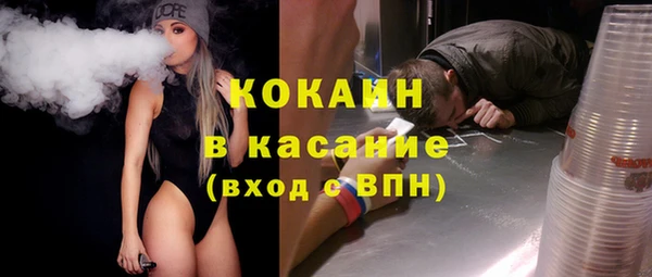 твердый Козловка