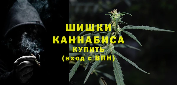 твердый Козловка