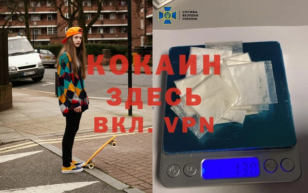 твердый Козловка