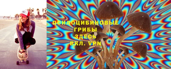 mdpv Кодинск